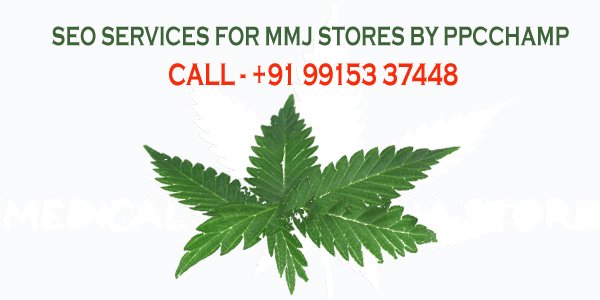 Best SEO services for MMJ