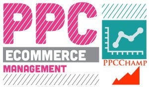 ppc consultant for online shopping stores